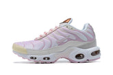 Nike Air Max Plus TN 'Vast Grey Metallic Copper' - Banlieue91