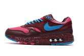 Air Max 87 'Parra Amsterdam' - Banlieue91