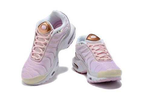 Nike Air Max Plus TN 'Vast Grey Metallic Copper' - Banlieue91